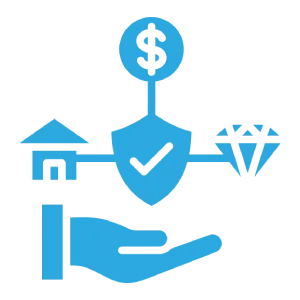 Asset-Protection-Security icon